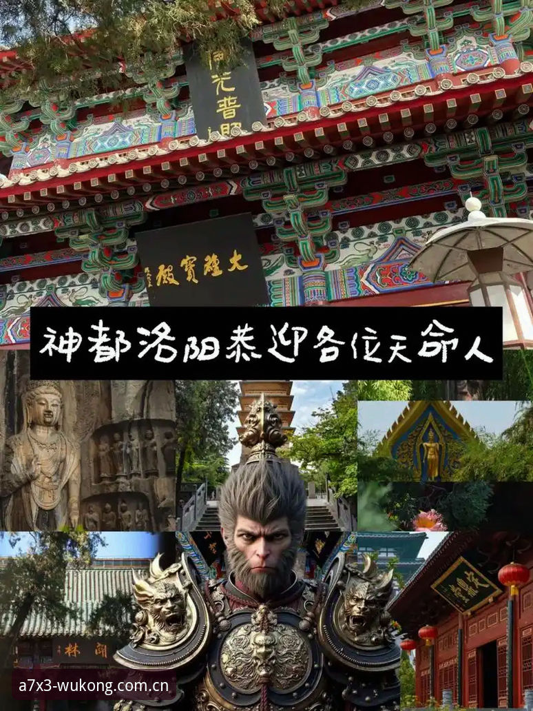 为什么选择悟空体育实时赔率官方下载？体育数据分析师给你答案